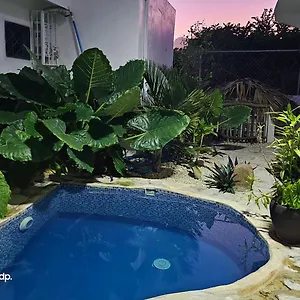 Pensión Luxury House Bungalow&apartments La Botánica Tropical 